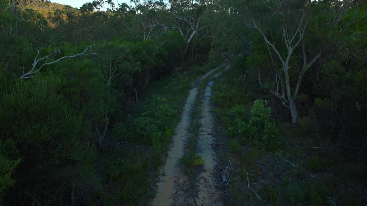 4wd bush track Lower Mangrove Blue Mountains Hawkesbury River Outback shade Creek NSW Sydney cliffs Australia aerial drone spring summer Gum Eucalyptus trees Dharug Popran forest sunset forward pan