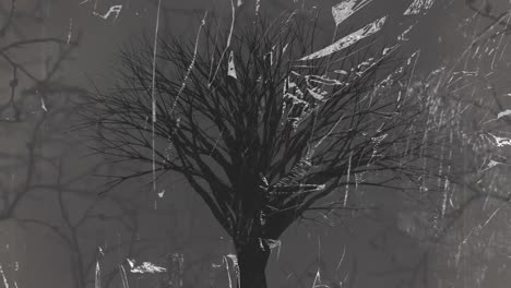 Animation-of-tree-and-distressed-pattern-on-seamless-loop