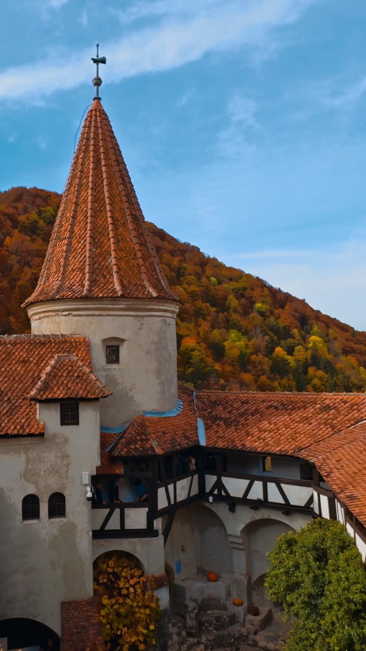 Tegole rosse sui tetti dell'antico Castello di Bran in Romania. Monte coperto da una foresta colorata sullo sfondo. Video verticale.