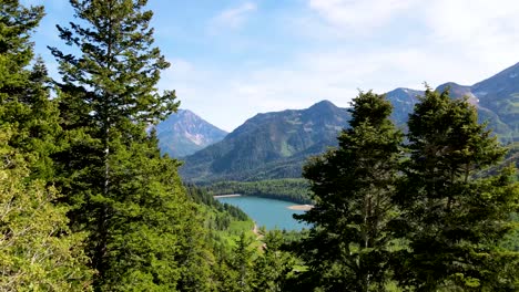 Flying-close-to-pine-trees-and-then-over-a-valley-with-a-lake-and-rugged-mountains-in-the-background