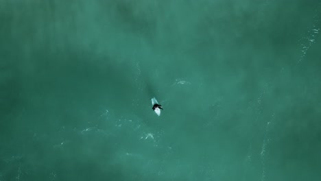 un surfista se sentó atrás esperando la ola perfecta en aguas azules
