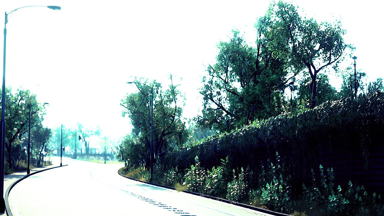 Sunny day on a winding road surrounded by lush greenery and trees