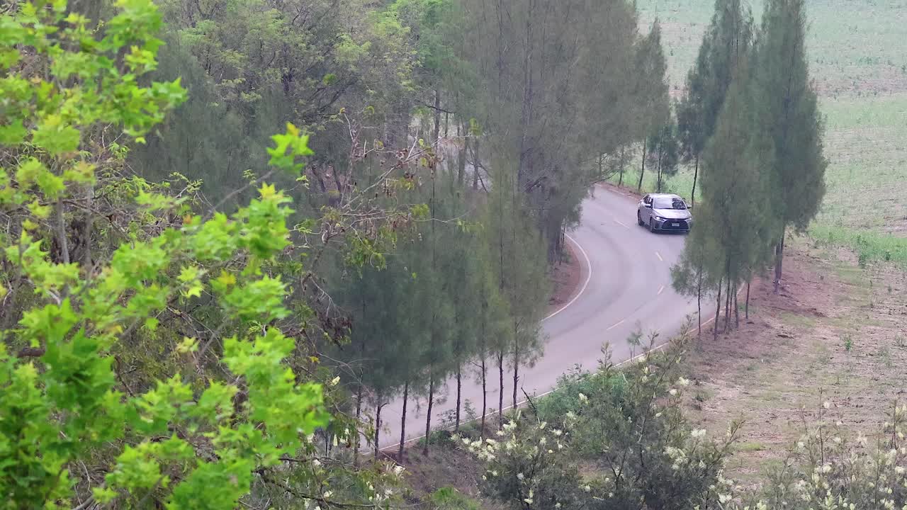 한 자동차 가 휘어지는 숲 도로 를 가로지르고 있다