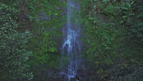 Tilt-up-shot-of-waterfall-falling-into-the-jungle-in-the-Salto-del-Rodeo-region-of-Bonao,-Dominican-Republic