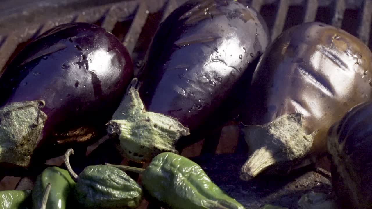 Eggplant and Peppers on the Grill