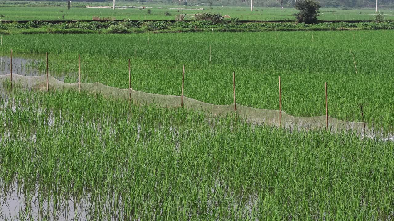 에서 물 수준 이 상승 하는 것 을 보여 주는 타임 스