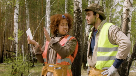 caucasian man and african american woman activists watching something in a tablet and deciding where to plant the trees