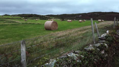 highlands pradera campestre con pacas de heno de paja enrollada en tierras de cultivo británicas nubladas abiertas