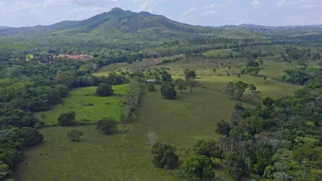 aerial backwards shot of exotic nature landscape of bayaguana during sunlight - growing plants ,bush and trees - green mountains in backdrop