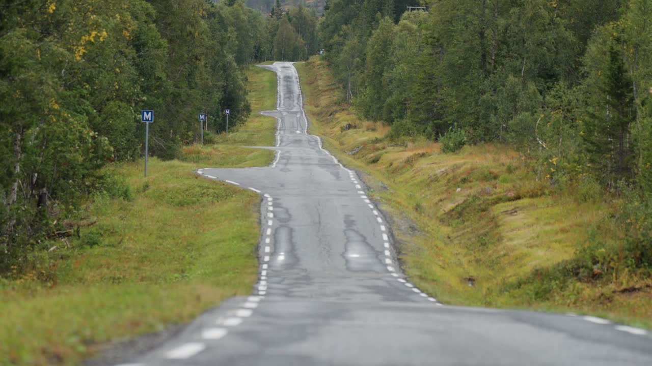 A narrow, bumpy asphalt road stretches ahead, cutting through a dense forest bordered by lush greenery on both sides.