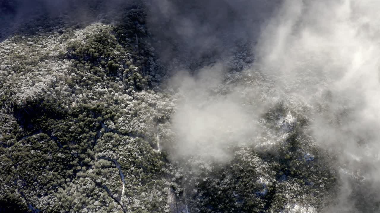bosque frío nevado en la ladera de la montaña, vista aérea de arriba hacia abajo de las copas de los árboles cubiertas de nieve
