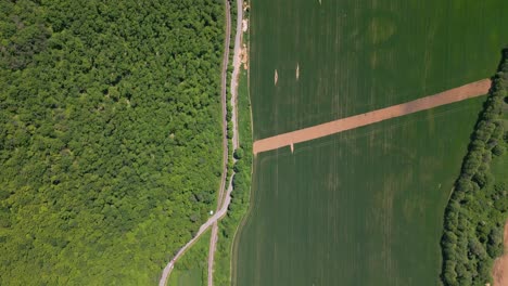 aerial view flying over a forest road green trees of woods growing one side