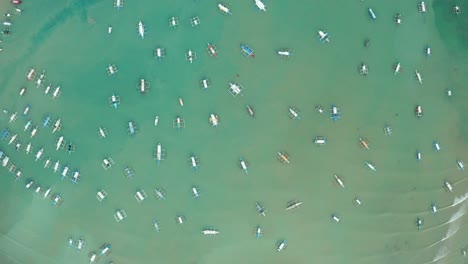vista aérea de ws de muchos murciélagos amarrados en el mar, el nido, palawan, filipinas
