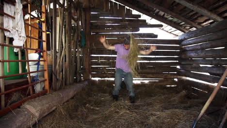 abundant extra agricultural straw at swiss farm facility