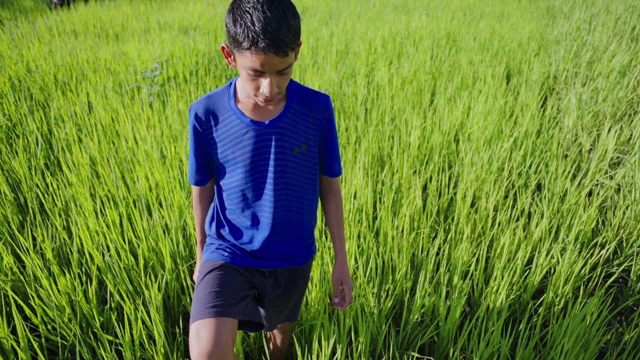 Young Indian child with worried expression in rice field, looking around in confusion, dramatic rural scene, 4k video