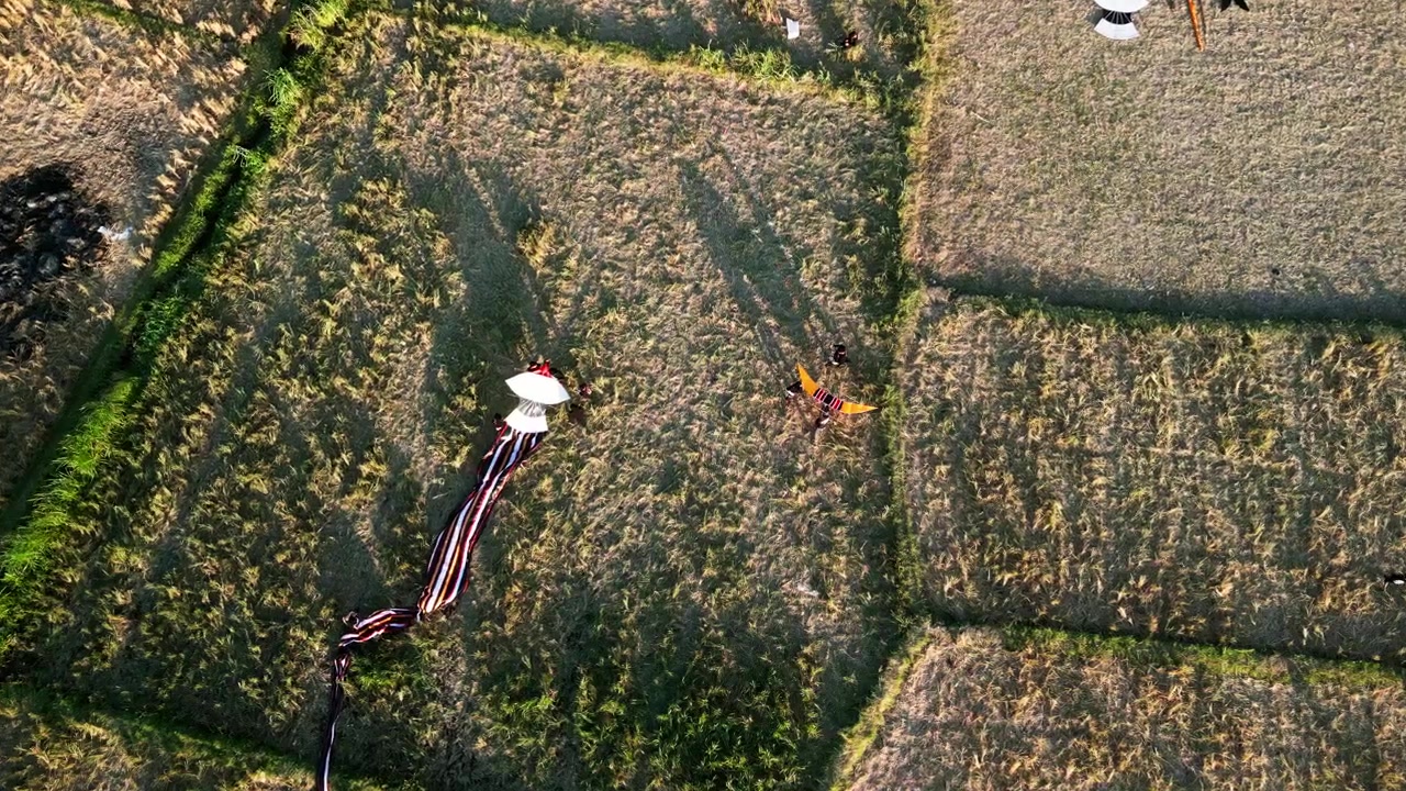 Bali, Endonezya'da bir uçurtma festivali için geleneksel uçurtmalar hazırlanıyor; köylüler altın saatte uçurtmalarını hazırlarken çekilen havadan drone görüntüsü.