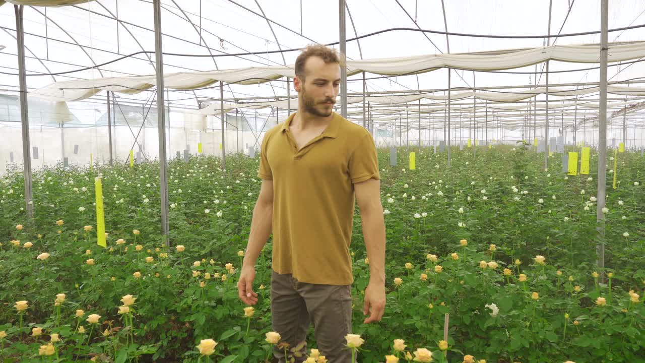 젊은 꽃가게가 온실에서  ⁇ 고 있습니다.