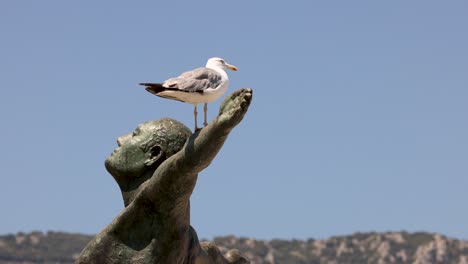 seagull resting on a statue's arm