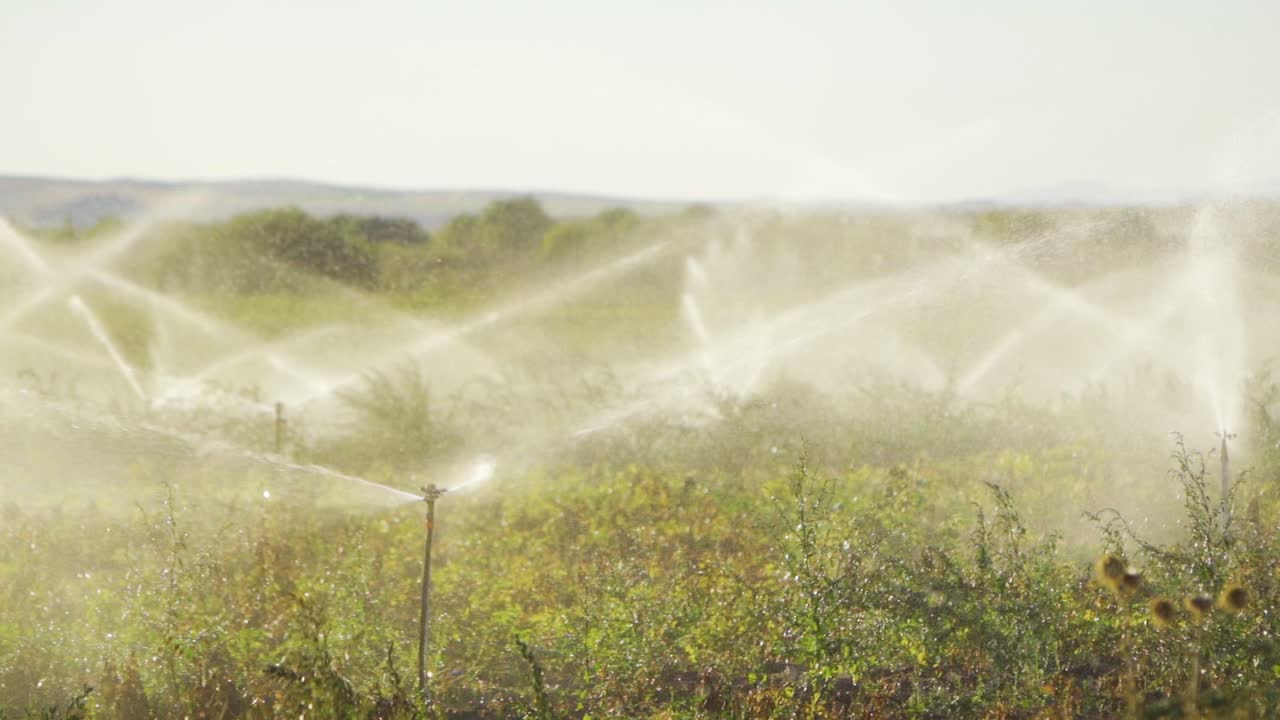 sistema de riego en el campo agrícola en cámara lenta.
