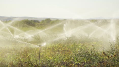 Sistema-De-Riego-En-Campo-Agrícola-En-Cámara-Lenta.