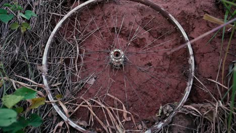 close up of an abandon bike wheel between red dirt and some tall grass