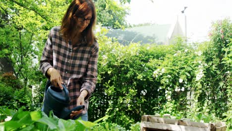 Reife-Frau,-Die-Pflanzen-Im-Garten-Gießt-4k