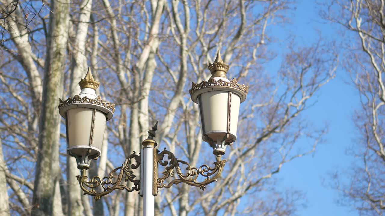 Ornate Street Lights with Bare Trees