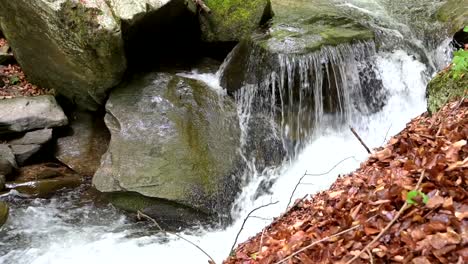 small stream in the mountain of north macedonia