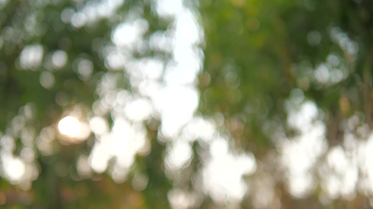 bokeh abstracto borroso con la luz del sol