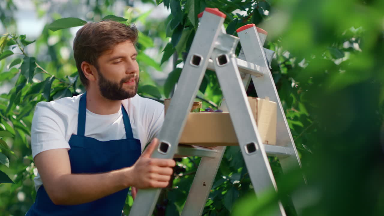 hombre trabajador agrícola sonriendo en verde gran plantación día soleado. concepto agrícola