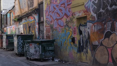 contenedores de residuos y paredes en el callejón cubiertos de graffiti en vancouver, canadá