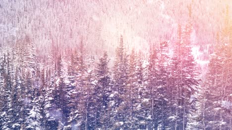 Animation-of-landscape-with-winter-scenery-and-fir-tree-forest-covered-in-snow