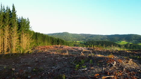 Deforestation-in-pristine-environment,-drone-view-of-permanent-ecological-damage