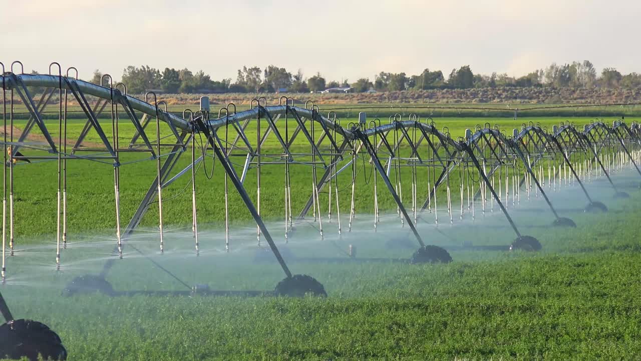 un sistema de rociadores industriales riega las tierras de cultivo de california durante una sequía