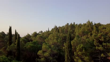 aerial: mediterranean landscape in croatia