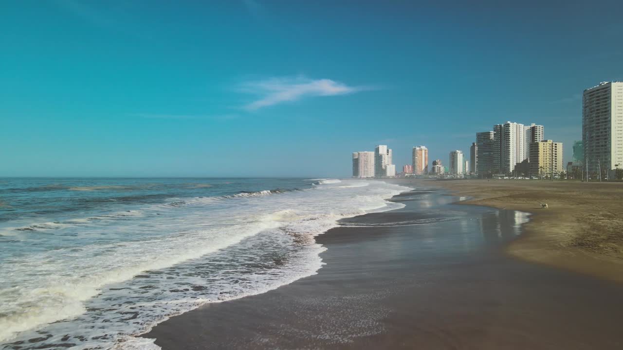 Sea waves crashing against the shore, Aerial view of the ocean in Iquique, Chile. South America. drone shot of dog walking on the beach. Aerial view of a wide wild sandy beach by the city skyscrapers