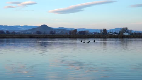 reflection of clouds on the surface of the coot lake in boulder, colorado