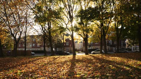 Devonshire-Green-Park-Sheffield-South-Yorkshire-Día-Soleado,-Parque-Público-Hojas-De-Otoño