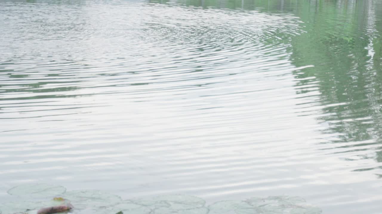 물결의 표면에 파동과 비가 내린 후 물의 웅이에 반사