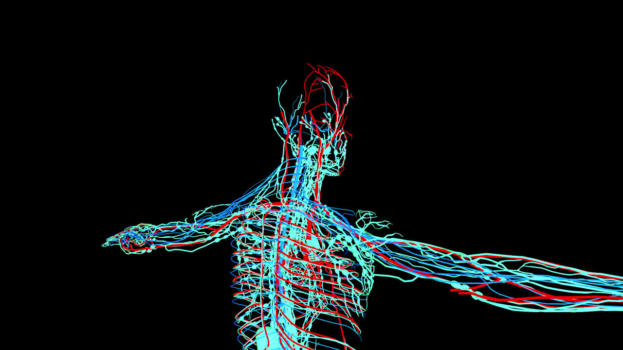 Nervous System With Alpha Channel