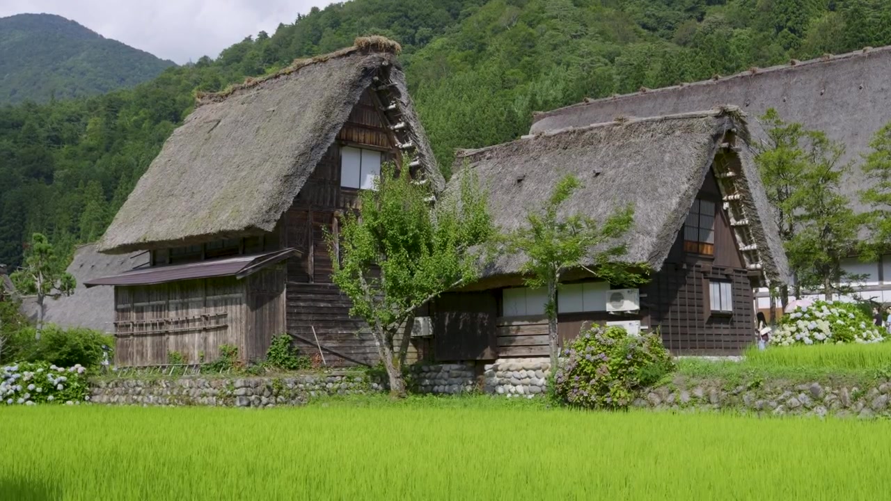 Những ngôi nhà mái tranh truyền thống tuyệt đẹp ở Shirakawa-Go, Nhật Bản