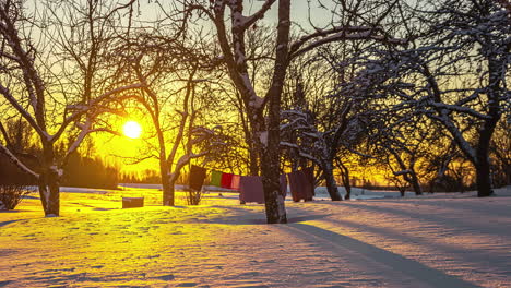 snow covered winter time lapse with a sunset in a forest