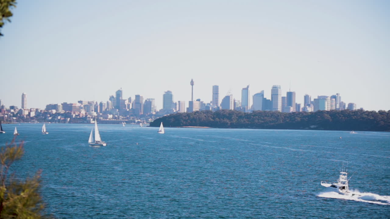 왓슨스 베이 호주 일몰에서 시드니 도심 전망