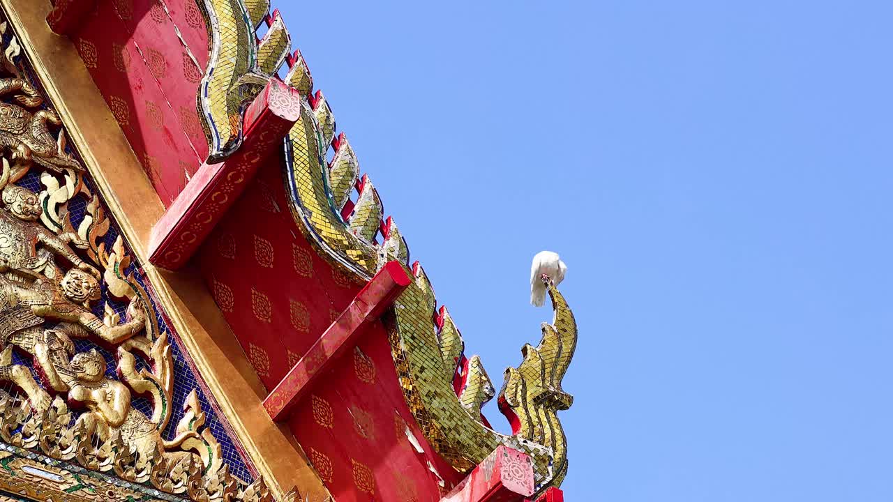un pájaro posado en el techo del templo ornamentado