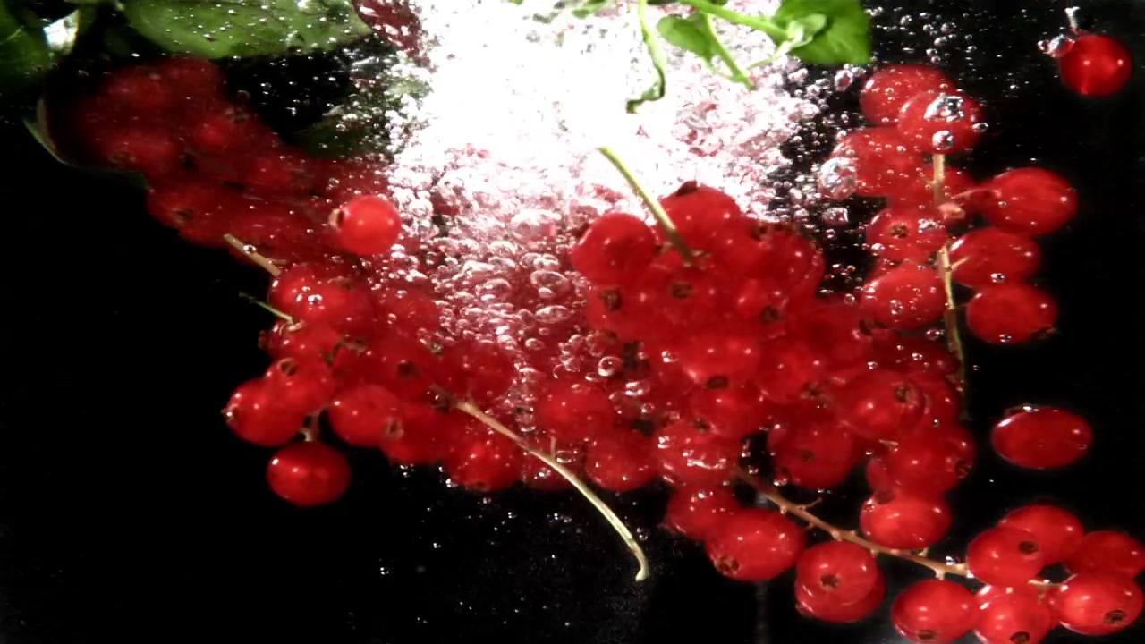 Slow Motion Red Currants Falling into Water with Bubbles