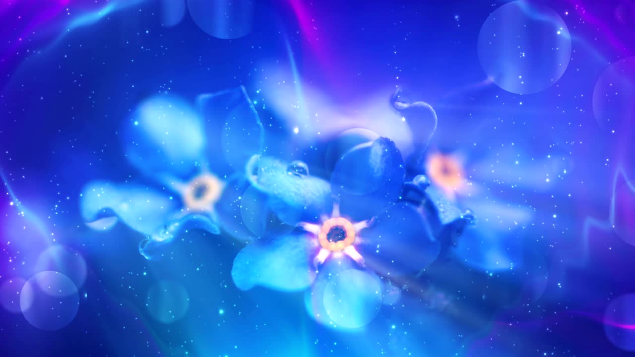 반이는 꽃의 배경 루프