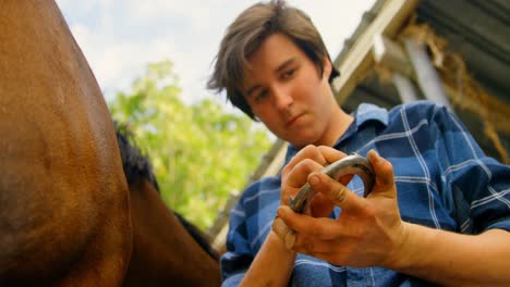 woman checking horseshoe at stable 4k