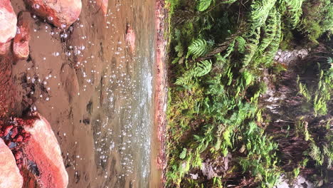 Vertical-view-of-Caldeira-Velha-bubbling-hot-springs-in-Azores-jungle