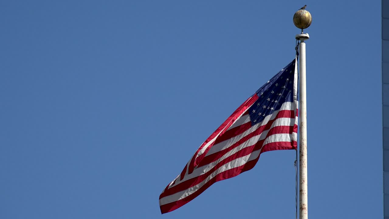 bandera estadounidense soplando en el viento