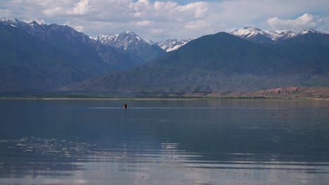 persona che nuota nel lago